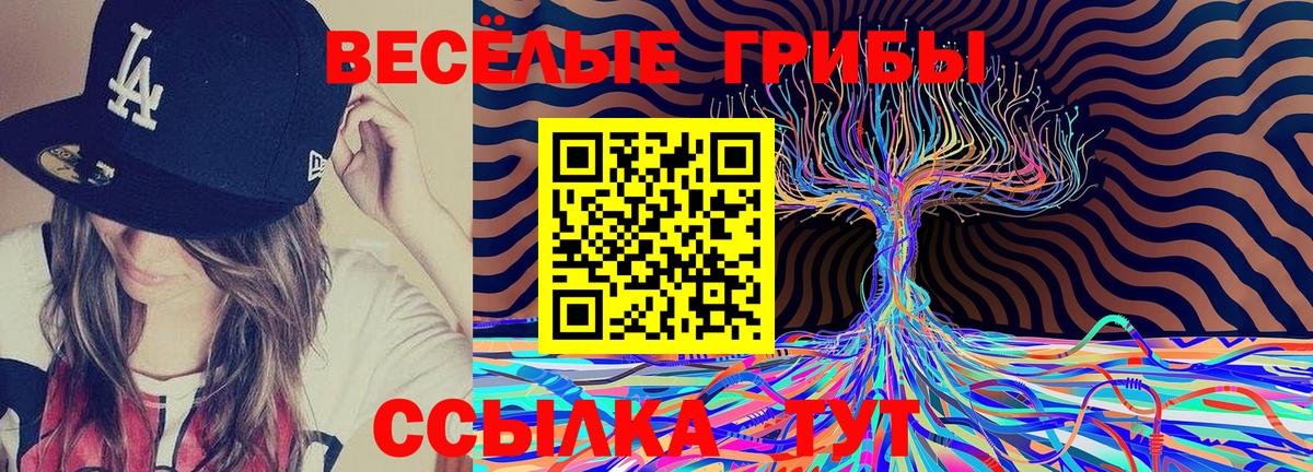 Галлюциногенные грибы прущие грибы  Вход с VPN  Рославль  Псилоцибиновые грибы Cubensis 